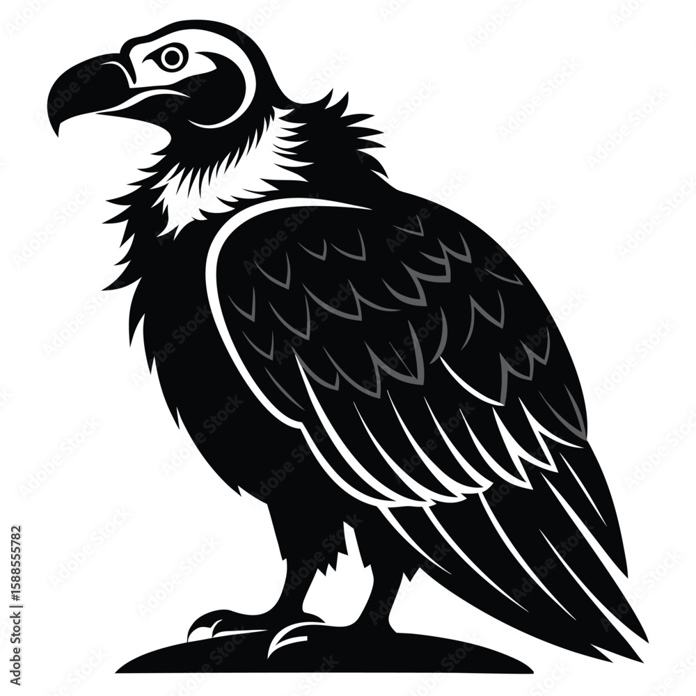 Obraz premium Majestic Black and White Vulture Illustration Powerful Bird of Prey
