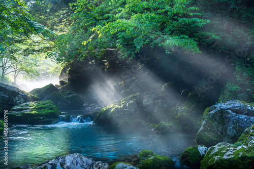 朝日が差し込む新緑と苔に包まれた円原川の幻想的な渓流風景
