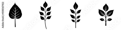 Black icon set featuring various leaf designs ideal for nature-themed projects or graphic design elements