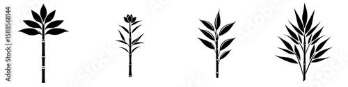 Black plant icons depicting different varieties of bamboo, showcasing their shapes and forms in a minimalist design