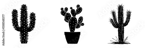Unique black icons of various cacti representing desert flora in a minimalist style for artistic purposes