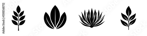 Black icon set featuring various leaf and plant designs for nature-themed projects and digital applications