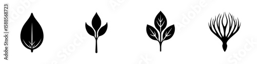 Iconic black plant symbols representing nature, growth, and transformation in a minimalist design