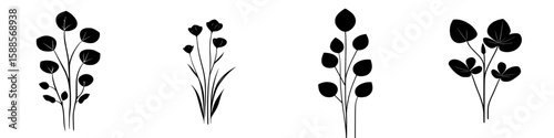 Black floral icons featuring various plant silhouettes with delicate designs for creative projects