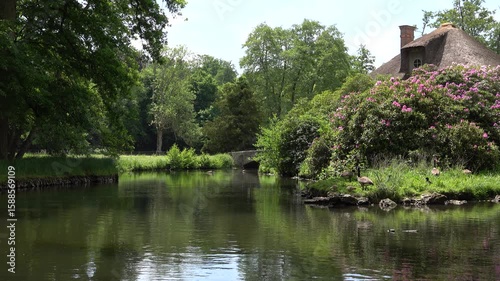 Vue sur un cours d'eau de marais verdoyant à Rambouillet