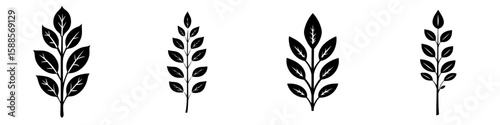 Collection of black leaf icons for design projects featuring various leaf shapes and sizes