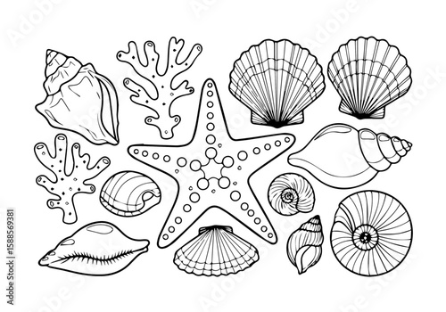 Sea Treasures with Starfish and Shells Isolated Vector Coloring Page
