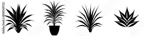 Black icon depicting various styles of plants with different heights and leaf arrangements in a minimalist design