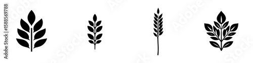 Design featuring various black plant icons illustrating different leaf arrangements and shapes in a minimalist style