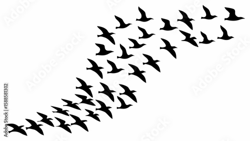 Silhouette depiction of a flock of birds flying in a diagonal direction across a white background