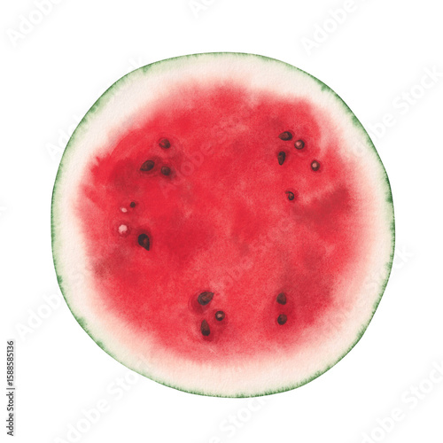 Watercolor watermelon. Hand drawn illustration, isolated on white background. 