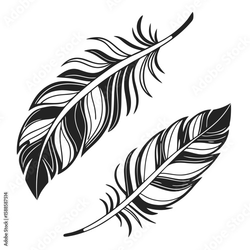 Two stylized feathers graphic design