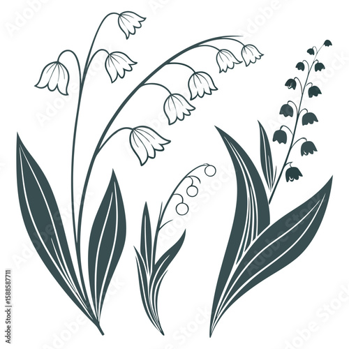 Vector lily of the valley illustration
