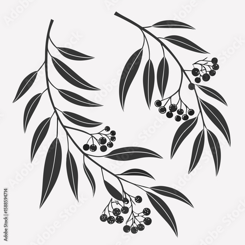 Silhouette branches berries graphic design