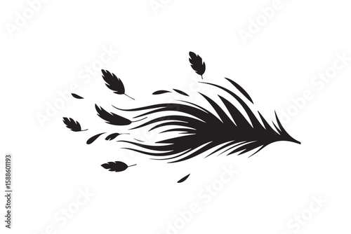 Black feathers scattered by wind white blowing