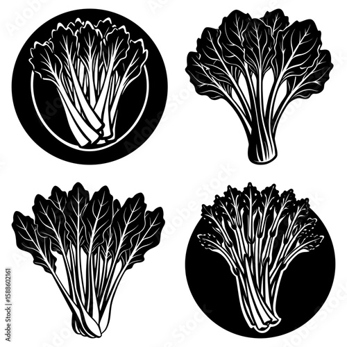 Four bok choy illustrations in black and white with varying arrangements and background elements shown here