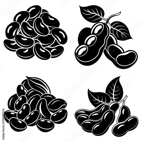 Illustration showing four arrangements of black and white soybeans with leaves and pods in detail