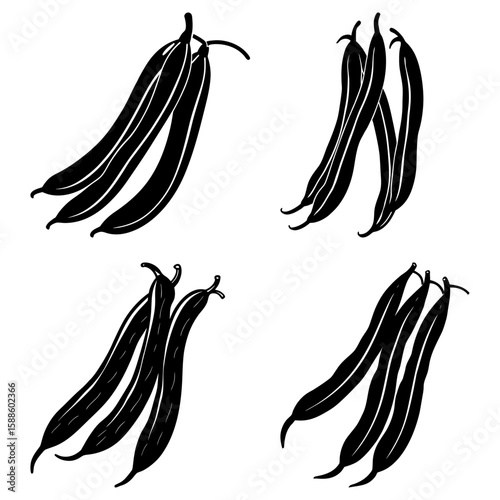 Illustration of four clusters of green beans in a black and white hand drawn sketch style design pattern