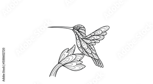 Delicate hummingbird delicately sipping nectar from a vibrant bloom in a natural outdoor setting capturing its grace and beauty