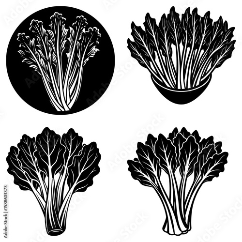 Illustration set of four black and white bok choy plants in various arrangements and compositions