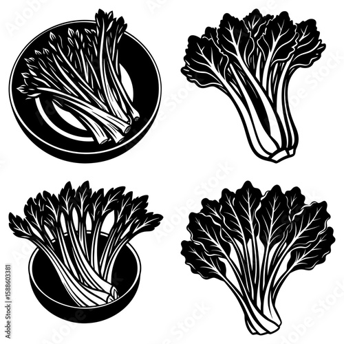 Illustration showing different arrangements of bok choy in bowls and loose on a white background