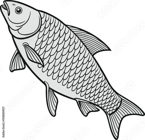 Vector illustration of a fish on a white background