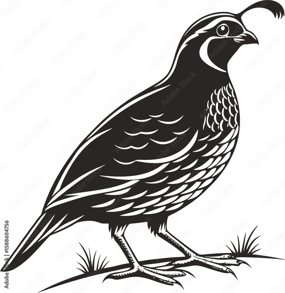 Fototapeta premium Peaceful Dove Bird Vector Illustration in Silhouette Style