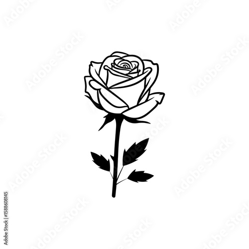 Elegant Black and White Rose Flower Line Art Vector Illustration