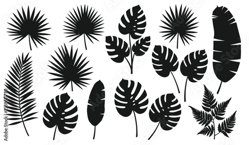 Tropical Leaf Silhouettes Black and White Design Elements