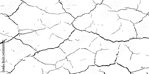 A stark, high-contrast black and white texture resembling cracked earth or shattered glass, showcasing an intricate network of irregular lines against a pristine white background. 