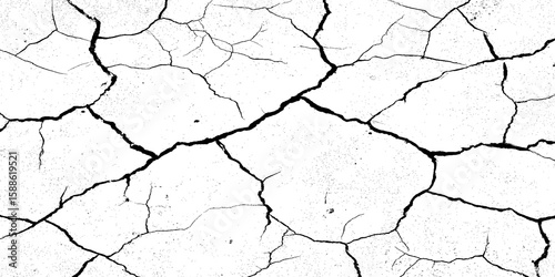A stark, high-contrast black and white texture resembling cracked earth or shattered glass, showcasing an intricate network of irregular lines against a pristine white background. 