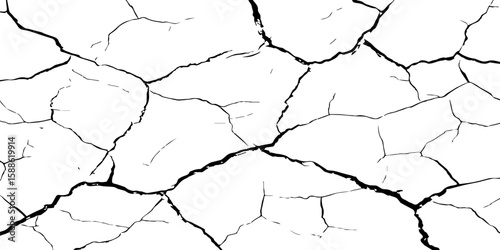 A stark, high-contrast black and white texture resembling cracked earth or shattered glass, showcasing an intricate network of irregular lines against a pristine white background. 