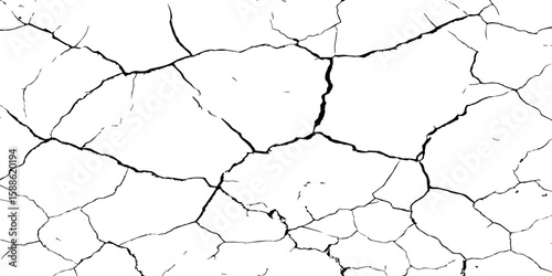 A stark, high-contrast black and white texture resembling cracked earth or shattered glass, showcasing an intricate network of irregular lines against a pristine white background. 