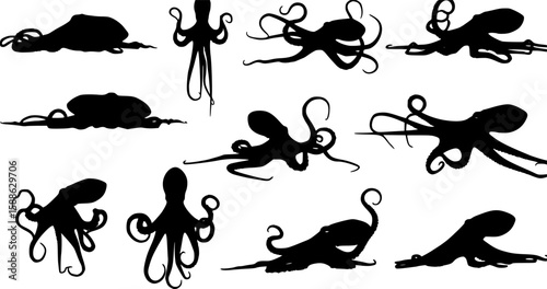 silhouette octopus vector illustration white background
