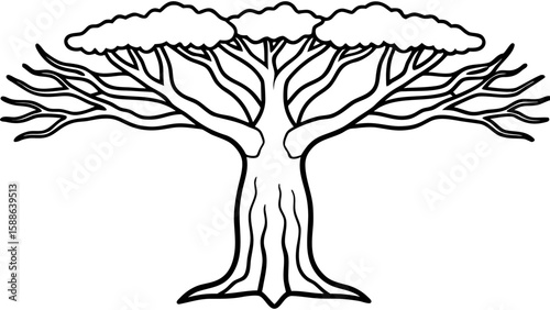 Delicate Line Art Baobab Tree with Sprawling Branches on White Background