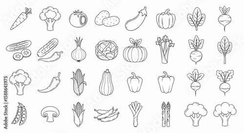 Freshly Illustrated Vegetable Medley A Vegetarian Collection of Edible Garden Bounty