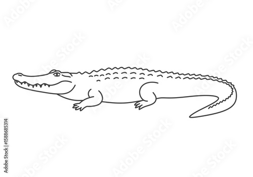 Alligator drawing. It is a black and white outline image of an alligator, a detailed depiction of the large reptile with distinct scales. Vector sketch line art draw.