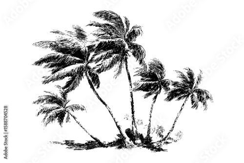 Tropical Palm Trees Sketch Art Vector Illustration, Isolated on Transparent Background, PNG Image of Island Scene