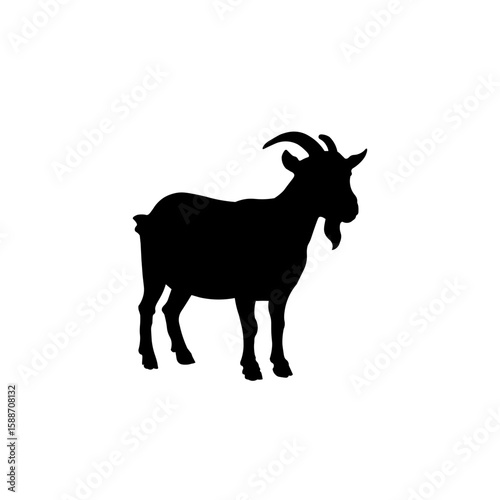 goat vector illustration
