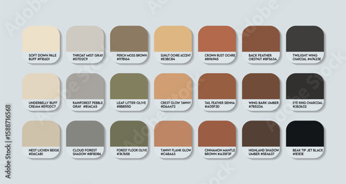 Cajamarca Antpitta Color Palette. Cajamarca Antpitta color Tone Swatch Chart with HEX Codes and Color Names. wood brown Tones Variants. brown metal Colors Palette vector. cream to black Vector eps