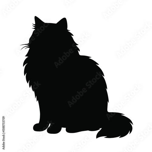 Silhouette of a Cat Sitting Gracefully