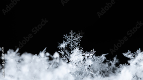 natural snowflakes on snow, winter
