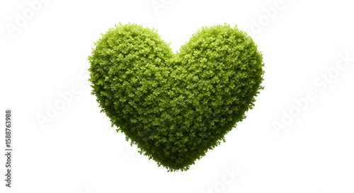 Green Heart Shaped Topiary Plant with Dense Foliage on Transparent Background for Nature and Love Themes