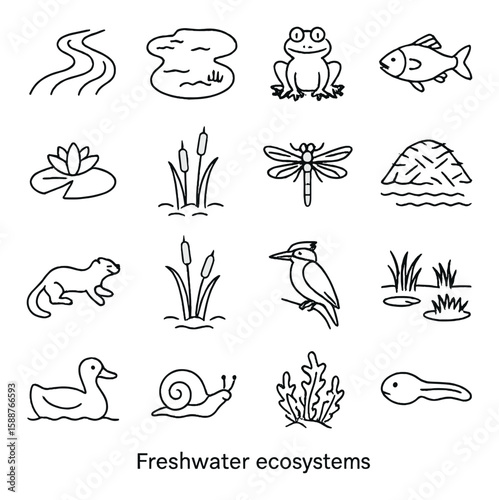 Freshwater ecosystem icon collection. simple linear designs: pond, frog, fish, dragonfly vector icons