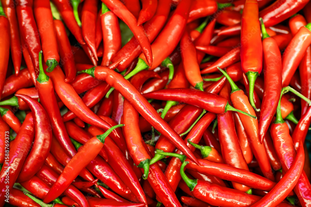 Chili pepper Chili pepper