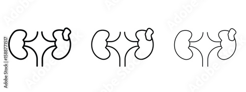 Kidney disease icon thin line symbol on white background, editable stroke vector illustration