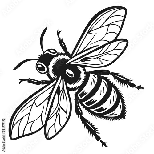 Detailed black and white illustration of a bee
