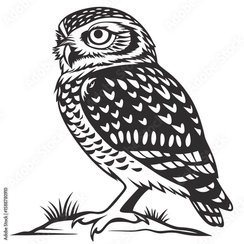 A wise owl standing on the ground with grass, black and white