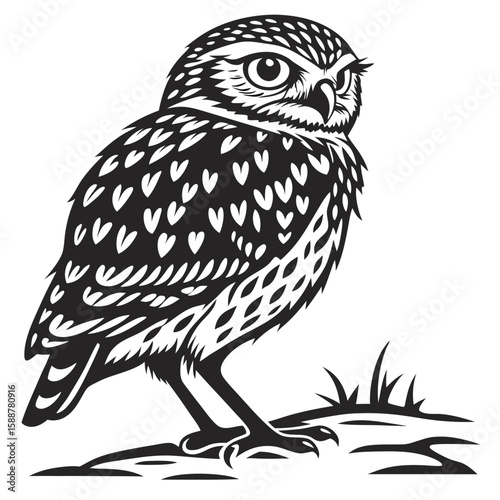 A wise owl standing on the ground with grass, black and white
