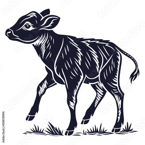 A young calf walks through the grass